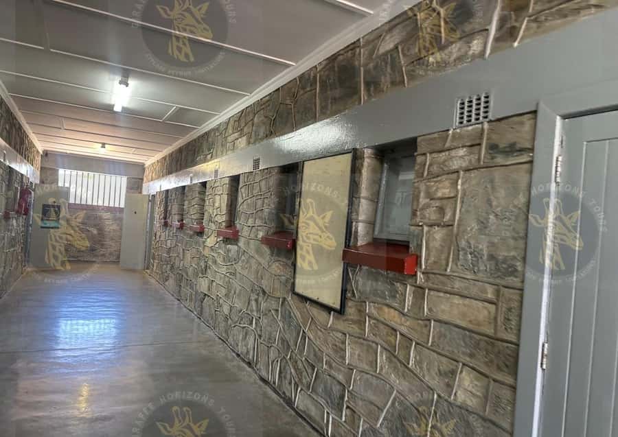 Cape Town: Robben Island Ferry with Prison Ticket and Tour - Getting to the Nelson Mandela Gateway