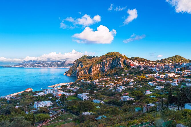 Capri Guided Boat Experience with Island Exploration and Transfer - What is included for $131.87