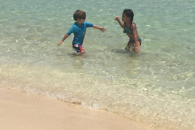 CAPTAIN ALAN'S 4hr -3 Islands-snorkeling-turtles-beach ADVENTURE - Pinel Island, shallow water and iguanas
