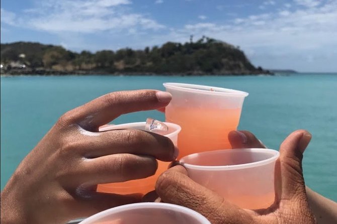 CAPTAIN ALAN'S 4hr -3 Islands-snorkeling-turtles-beach ADVENTURE - Who will get the most from this tour