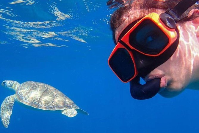 CAPTAIN ALAN'S 4hr -3 Islands-snorkeling-turtles-beach ADVENTURE - Tintamarre Island, turtles and a quiet beach
