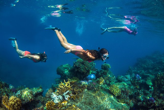 Captain Cook Cruises Fiji - Island and Reef Day Cruise - Kadavu Lailai, a compact island made for an easy day