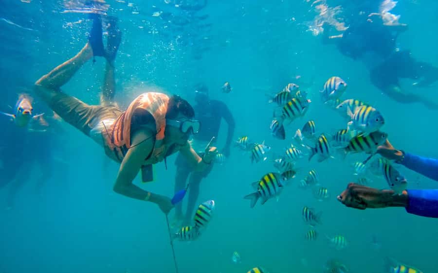 Cartagena: 5 Island Boat Tour with Night Bioluminescent Stop - What is included and what you still pay for