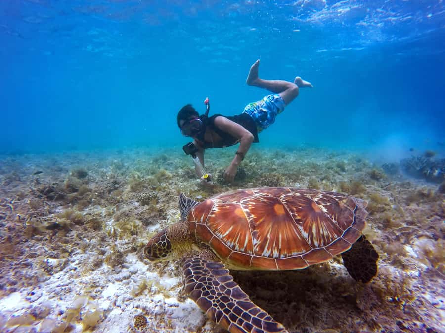 Cartagena: 5 Islands Boat Tour with Lunch, Snorkeling, & Bar - Isla Grande, Pablo Escobar’s mansion, and a strange landmark