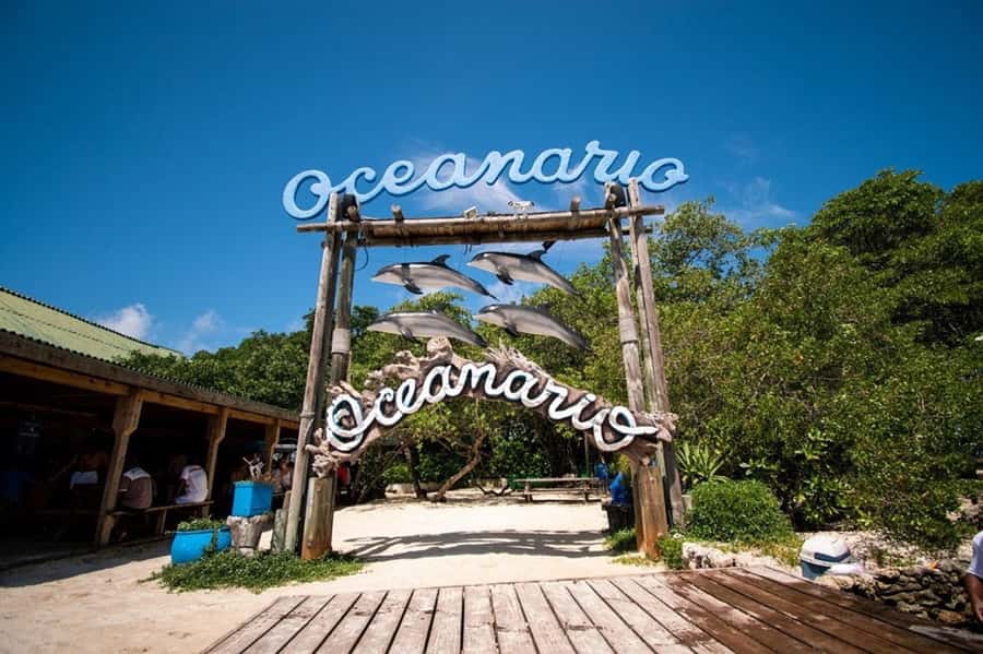Cartagena: All-Inclusive Rosario Islands Speedboat Tour - Choosing between the oceanarium and snorkeling