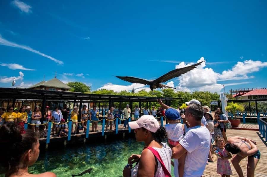 Cartagena: Rosario islands Playa Blanca Barù by boat & lunch - Starting at La Bodeguita Pier