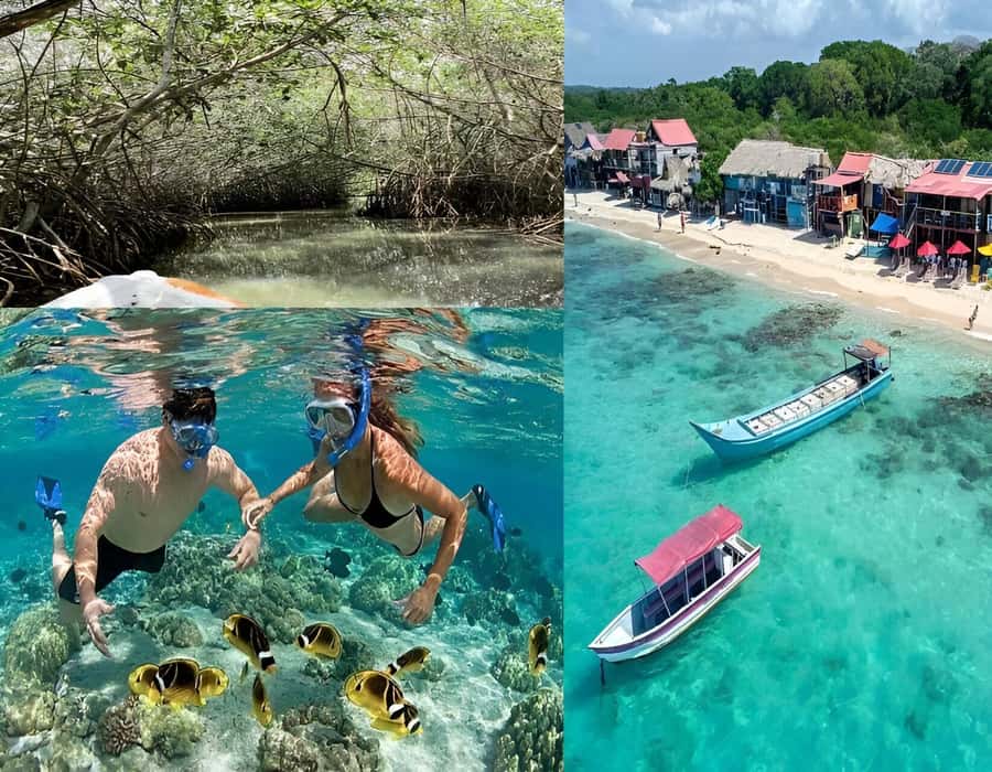 Cartagena: Visit 4 islands in a speedboat + plankton! - Morning transfers from Cartagena to Rosario
