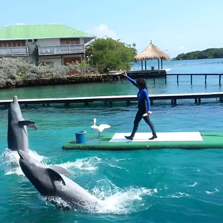 Cartagena: Visit 4 islands in a speedboat + plankton! - My practical verdict on booking