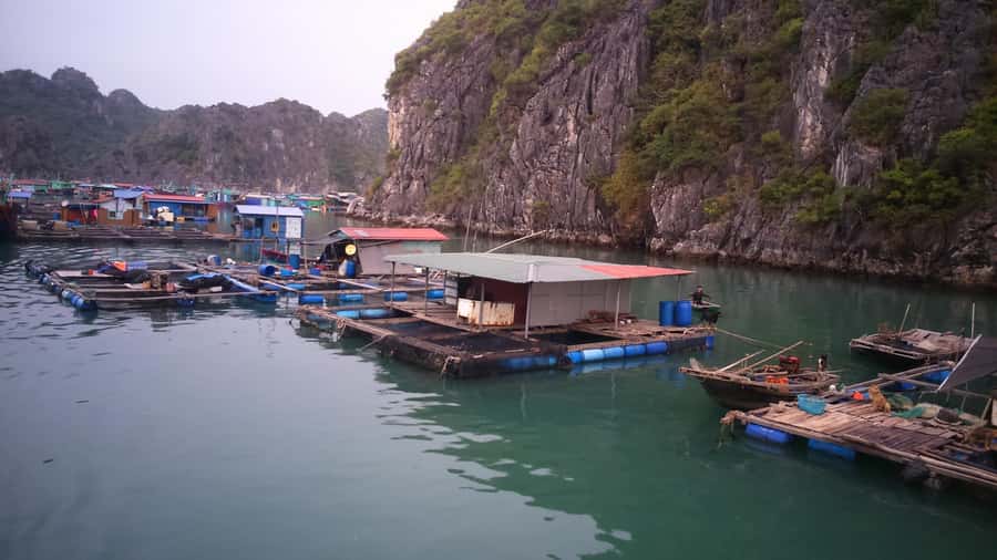 Cat Ba Island: Full-Day Cruise to Lan Ha Bay and Ha Long Bay - Key points at a glance