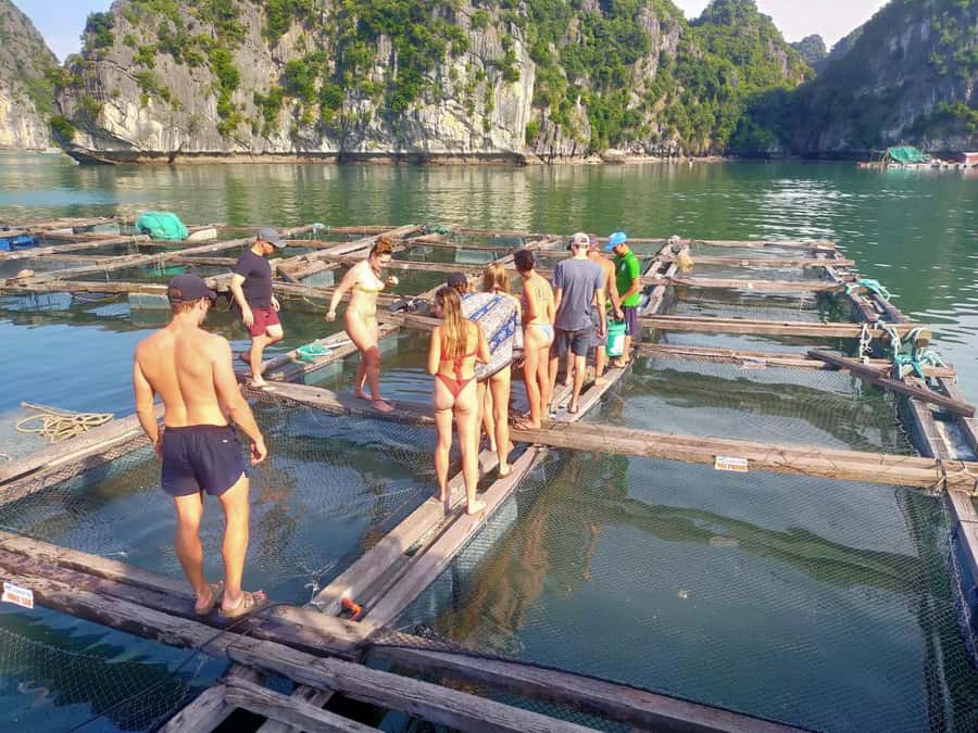 Cat Ba Island: Full-Day Cruise to Lan Ha Bay and Ha Long Bay - Sunset on the return to Cat Ba