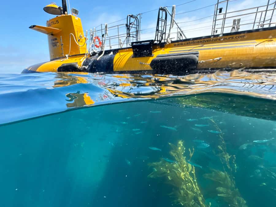 Catalina Island: Yellow Semi-Submarine Cruise - A Yellow Submarine Without the Scuba Gear