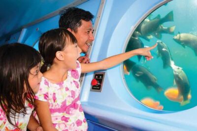 Catalina Island: Yellow Semi-Submarine Cruise