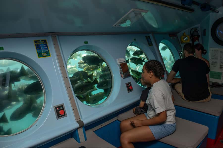 Catalina Island: Yellow Semi-Submarine Cruise - The Fish-Food Torpedoes