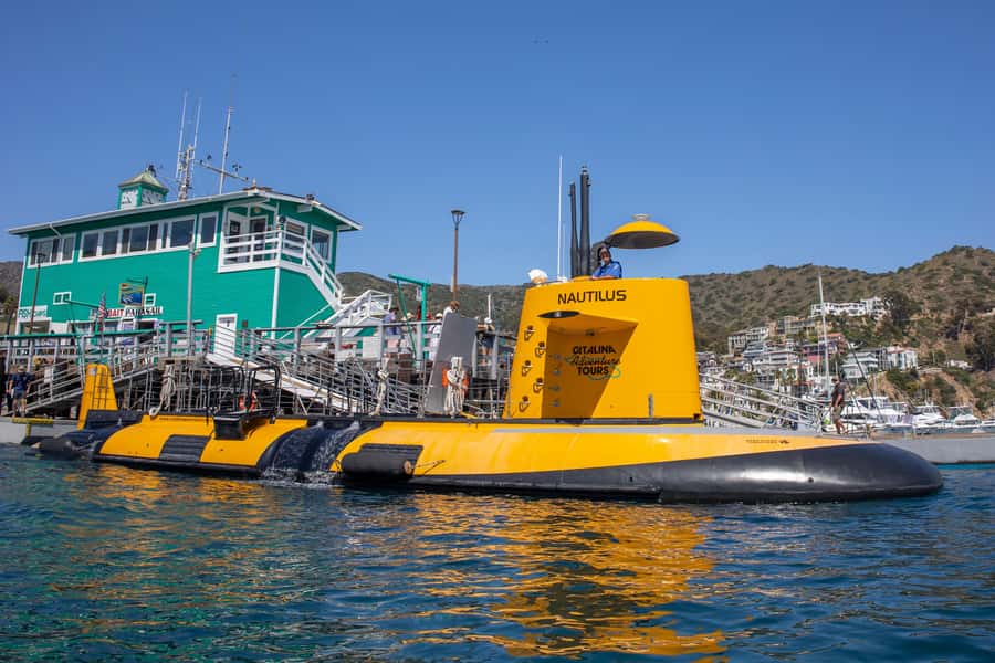 Catalina Island: Yellow Semi-Submarine Cruise - Should You Book the Catalina Semi-Submarine?