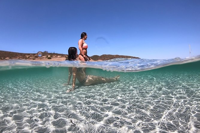 Catamaran excursions in the Asinara island National park - Key points before you book