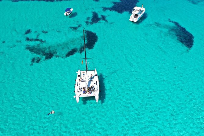 Catamaran excursions in the Asinara island National park - Guided snorkeling and Asinara’s marine life