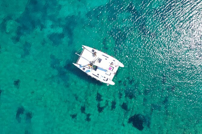 Catamaran excursions in the Asinara island National park - Swimming in Asinara’s clear bays