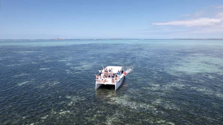 Catamaran Mauritius: South East 5 Islands Catamaran Cruises - Dolphins, tortoises, and marine life