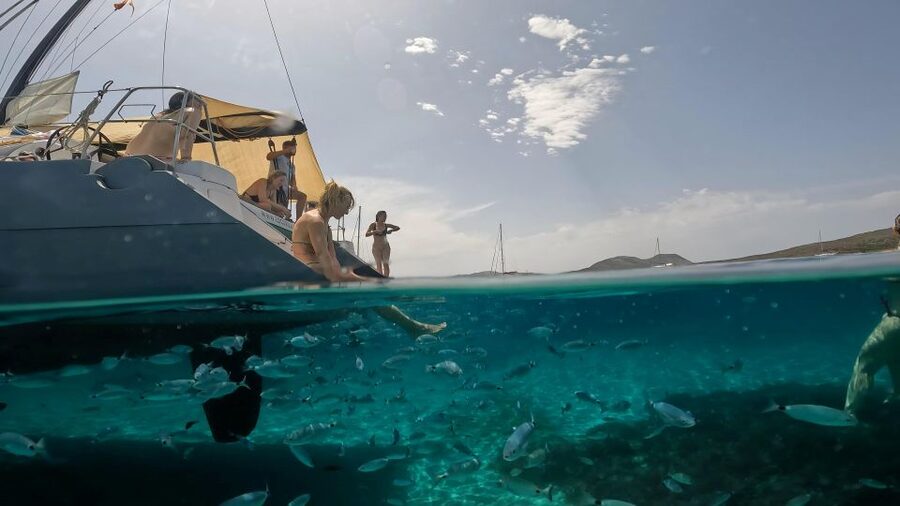 Catamaran tour Asinara island national park Buriana Charter - Booking details worth knowing