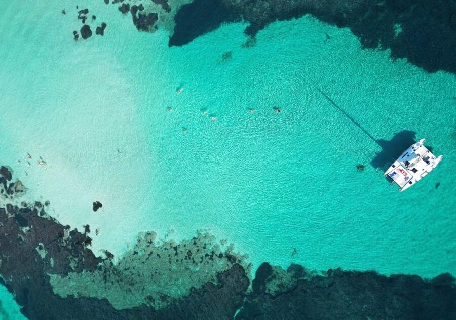 Catamaran tour Asinara island national park Buriana Charter - Swimming and snorkeling from the catamaran