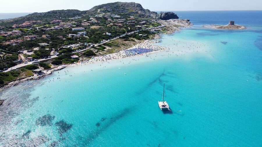 Catamaran tour Asinara island national park Buriana Charter - A seafood lunch served aboard