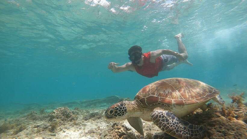 Cebu: Moalboal Island Hopping and Mantayupan Falls Day Trip - Should You Book This Cebu Day Trip?