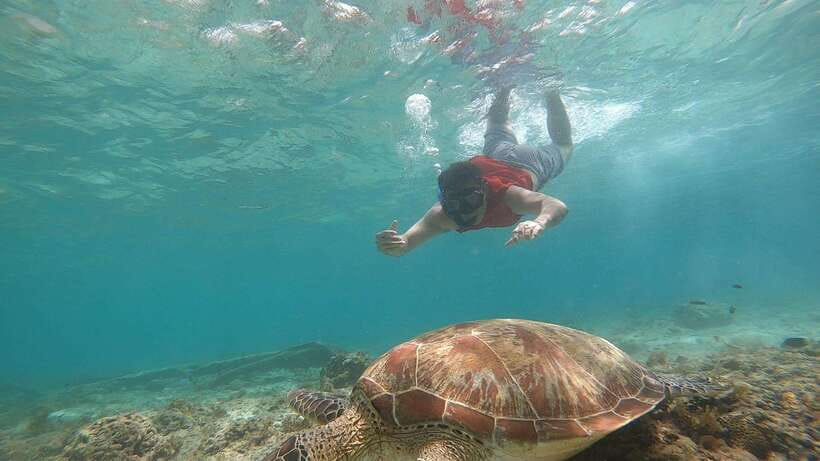 Cebu: Moalboal Island Hopping and Mantayupan Falls Day Trip - What to Pack for Salt Water and a Waterfall