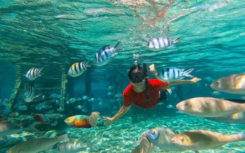 Cebu: Private Mactan Island Hopping Tour with Lunch - A private boat day among three Cebu islands
