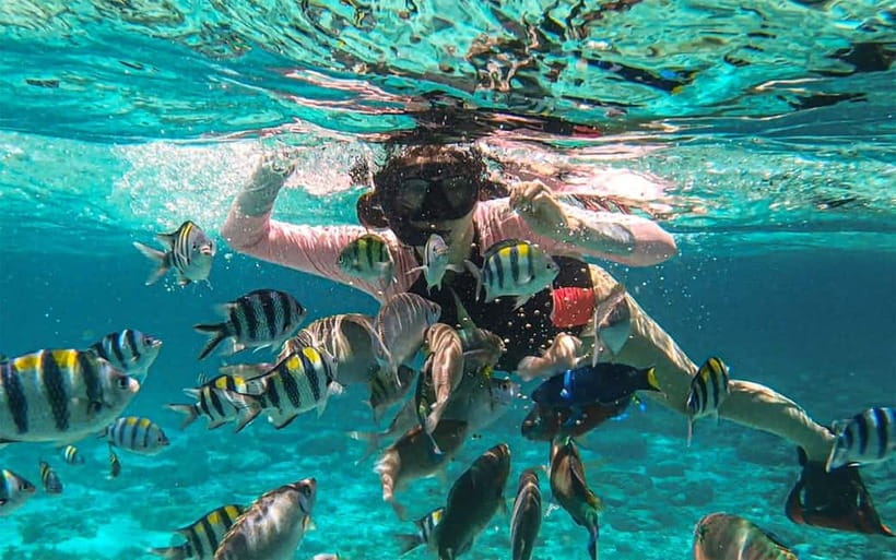 Cebu: Private Mactan Island Hopping Tour with Lunch - Nalusuan’s long sandbar and clear water