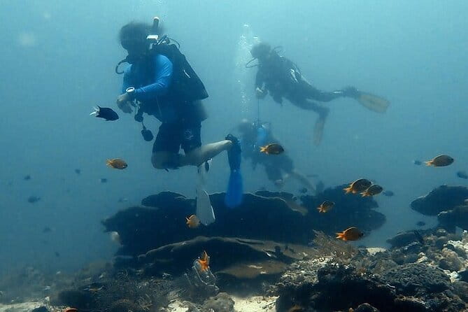 Cebu Private Tour 3 Islands Hopping Gilutungan Caohagan Nalusuan - Nalusuan Marine Sanctuary: a clear-water finale