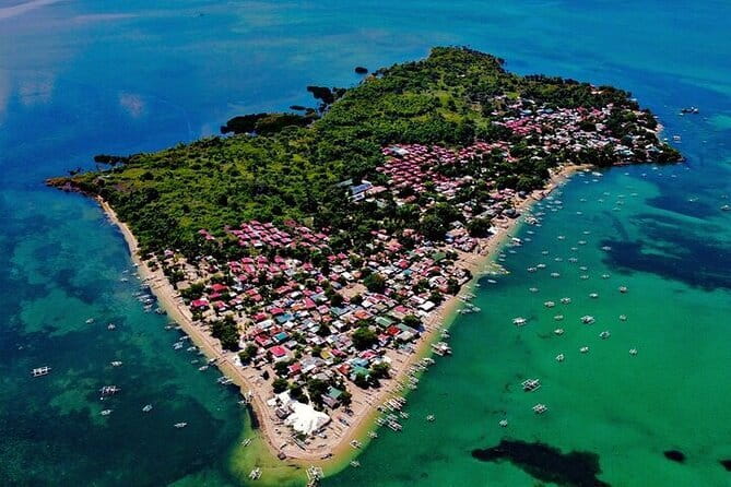 Cebu Private Tour 3 Islands Hopping Gilutungan Caohagan Nalusuan - Hilutungan Island: the strongest fish encounter