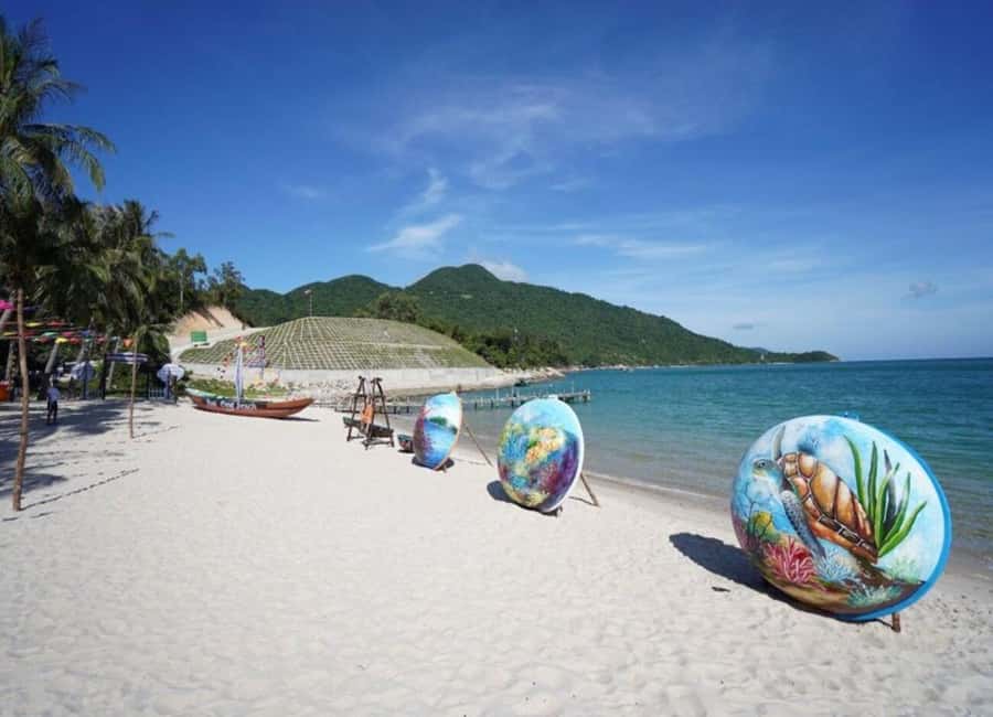Cham Island: 1-Day Speedboat Trip with Snorkeling and Lunch - Key points to know before booking