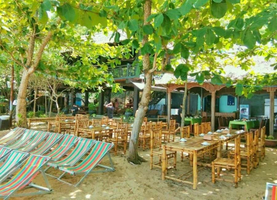 Cham Island: 1-Day Speedboat Trip with Snorkeling and Lunch - What this Cham Island day trip is really like