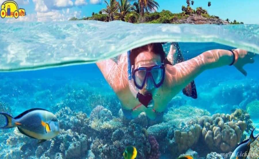 Cham Island: 1-Day Speedboat Trip with Snorkeling and Lunch - Beach time after lunch