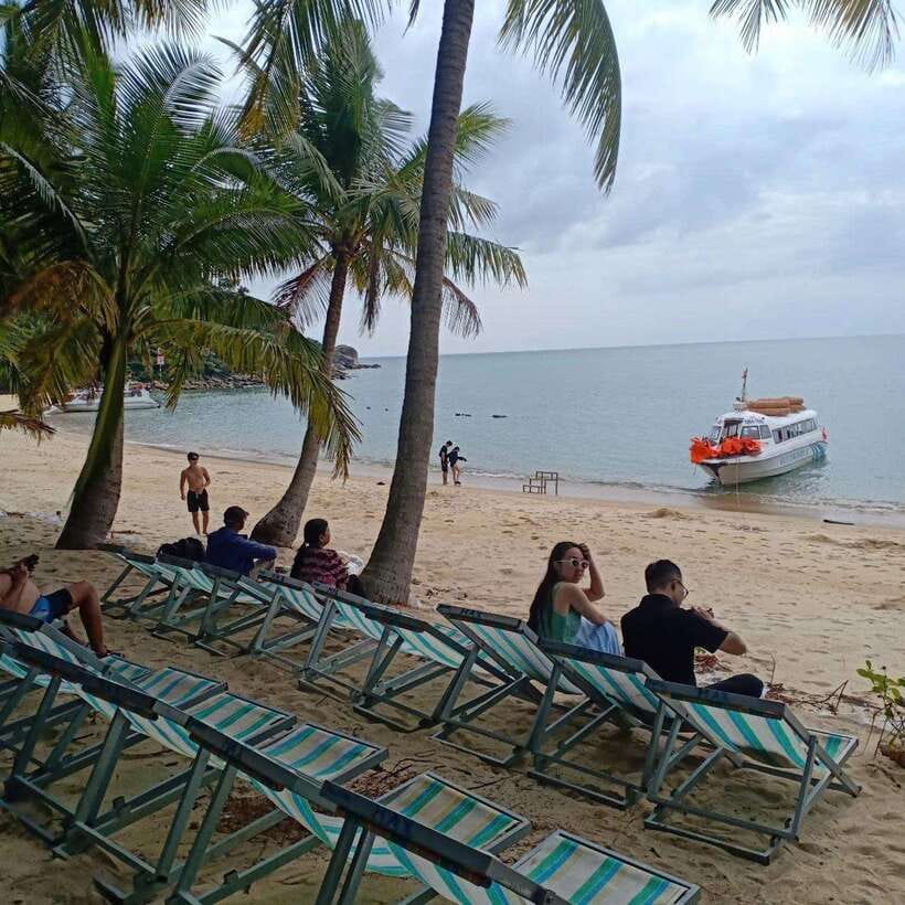Cham Island: Snorkeling Tour by Speed Boat From HoiAn/DaNang - Should you book the Cham Island snorkeling tour?