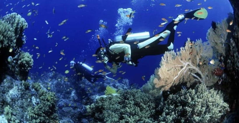 Cham Islands Snorkeling Tour by Speedboat : Hoi An/Da Nang - Key points to know before you book