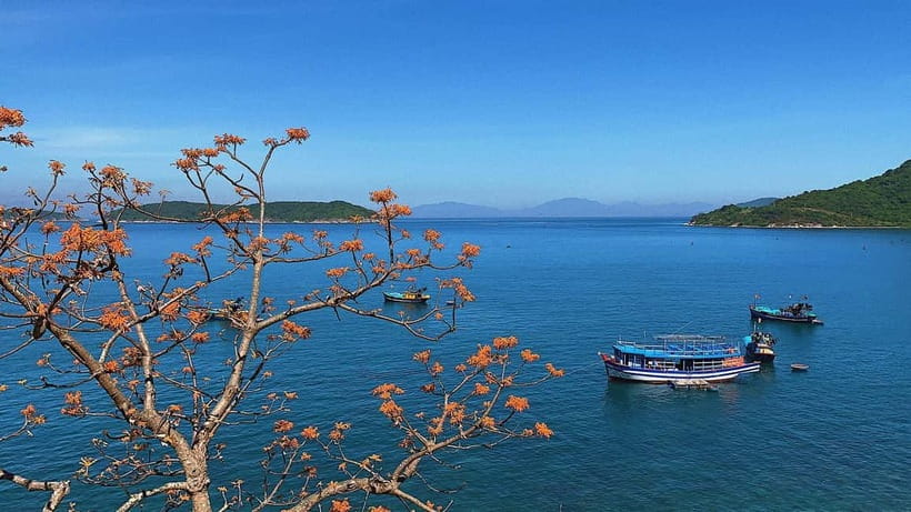 Cham Islands Snorkeling Tour by Speedboat : Hoi An/Da Nang - From Hoi An or Da Nang to Cua Dai Harbour