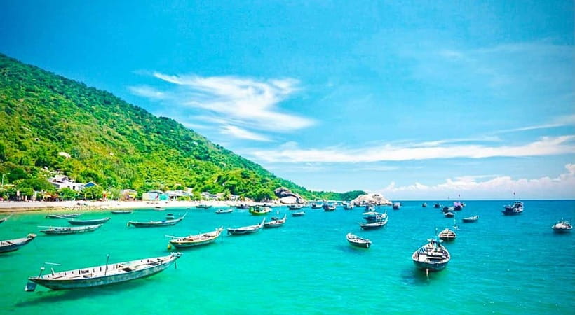 Cham Islands Snorkeling Tour by Speedboat : Hoi An/Da Nang - Bai Ong or Bai Chong and the seafood lunch