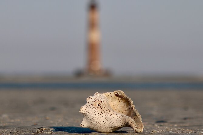 Charleston Eco Boat Cruise with stop at Morris Island Lighthouse - Morris Island and its solitary lighthouse