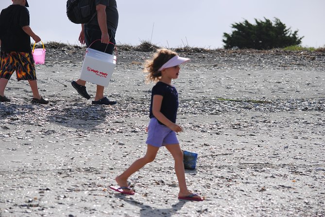 Charleston Eco Boat Cruise with stop at Morris Island Lighthouse - How to plan your half-day