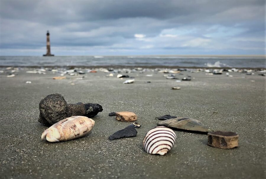 Charleston: Morris Island Dolphin Cruise with Beachcombing - Morris Island beachcombing and fossil hunting