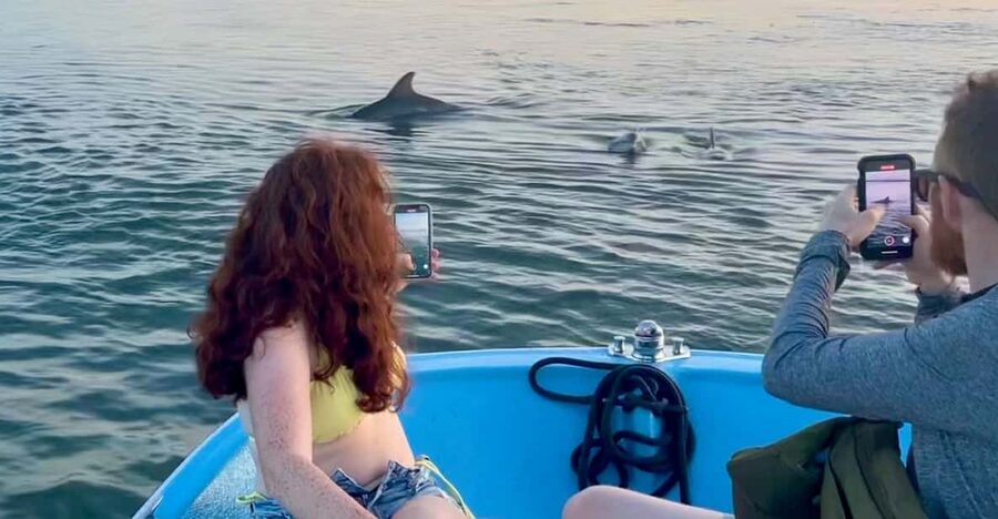 Charleston: Morris Island Dolphin Cruise with Beachcombing - Meeting Captain Billy at Folly River