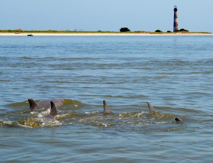 Charleston: Morris Island Lighthouse Eco-Boat Tour - Key Things to Know Before You Go