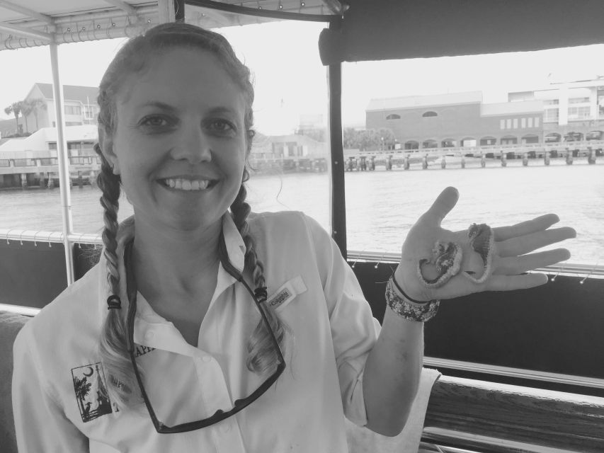 Charleston: Morris Island Nature Boat Tour with Naturalist - Key points to know before you go