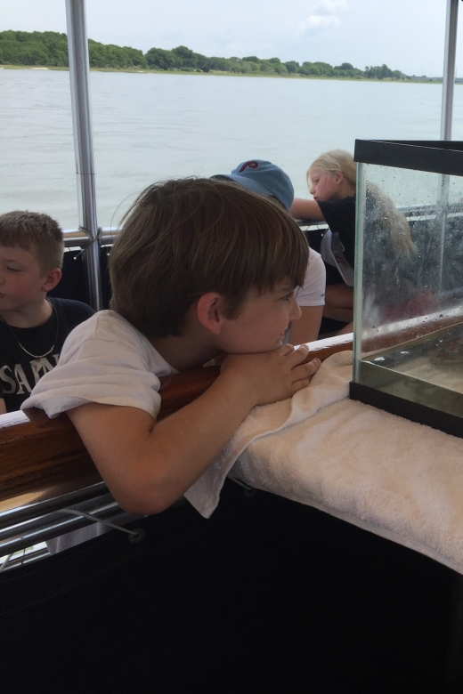 Charleston: Morris Island Nature Boat Tour with Naturalist - Watching birds in the Lowcountry estuaries