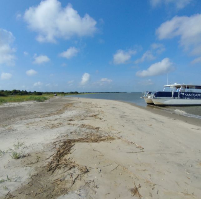 Charleston: Morris Island Nature Boat Tour with Naturalist - Shell searching and a slower coastal rhythm