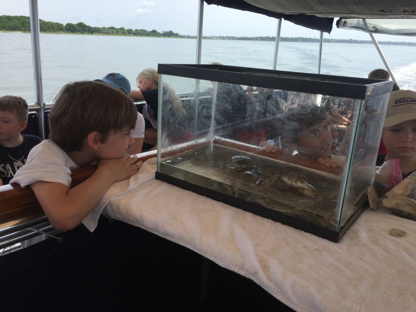 Charleston: Morris Island Nature Boat Tour with Naturalist - What the $55 price gets you
