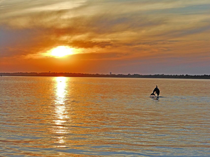 Chincoteague: Assateague Island Sunset Boat Cruise - Key points to know before you book