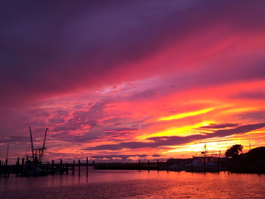 Chincoteague: Assateague Island Sunset Boat Cruise - Dolphins, eagles, and shorebirds