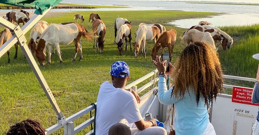 Chincoteague: Assateague Island Sunset Boat Cruise - What $59 gets you